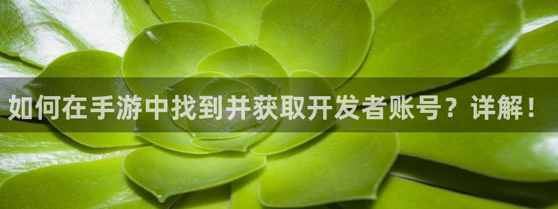 V8娱乐网：如何在手游中找到并获取开发者账号？详解！