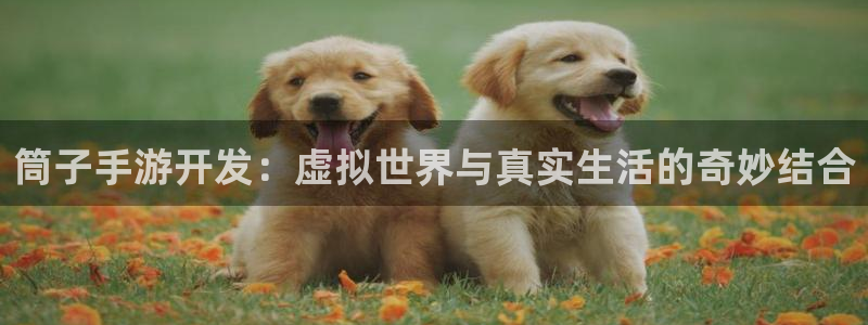 V8娱乐网：筒子手游开发：虚拟世界与真实生活的奇妙结合