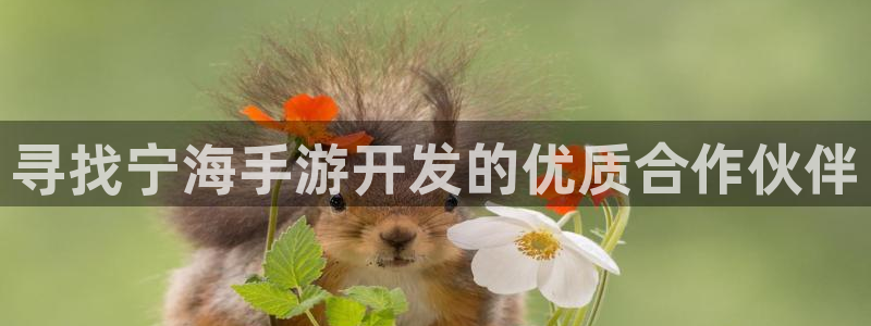 V8娱乐：寻找宁海手游开发的优质合作伙伴