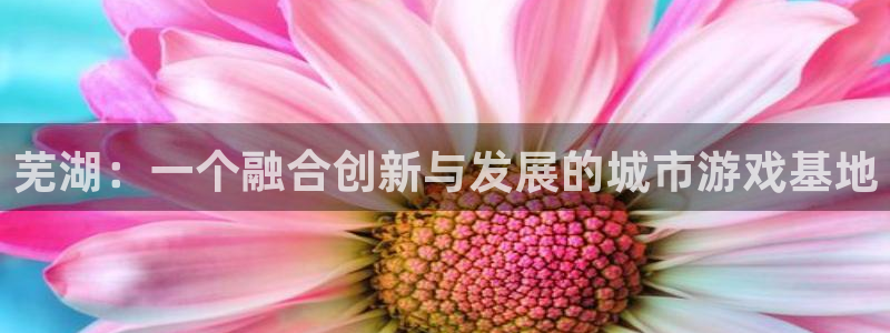 V8娱乐登录：芜湖：一个融合创新与发展的城市游戏基地