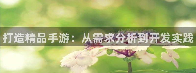 V8娱乐：打造精品手游：从需求分析到开发实践