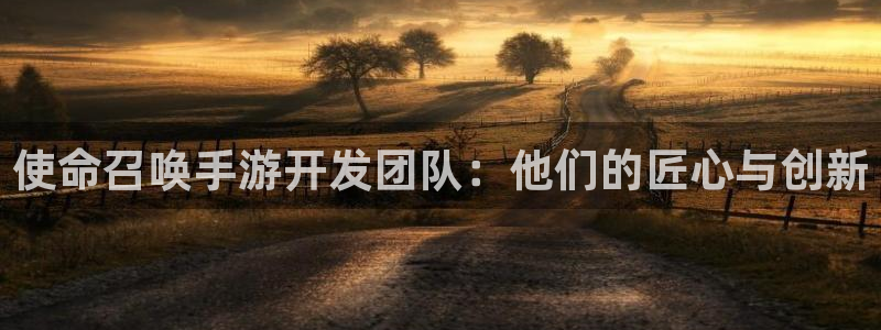 V8娱乐登录：使命召唤手游开发团队：他们的匠心与创新