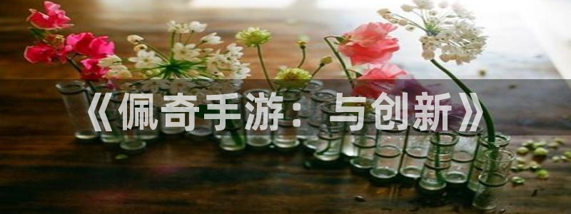 V8娱乐：《佩奇手游：与创新》