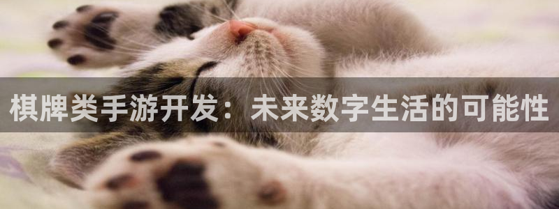 V8娱乐官网：棋牌类手游开发：未来数字生活的可能性