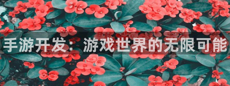 V8娱乐网：手游开发：游戏世界的无限可能