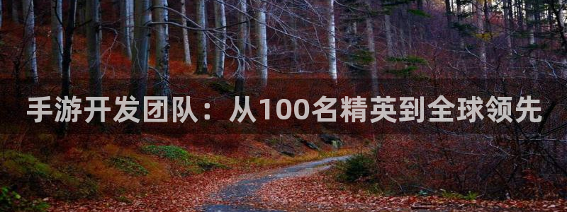 V8娱乐登录：手游开发团队：从100名精英到全球领先