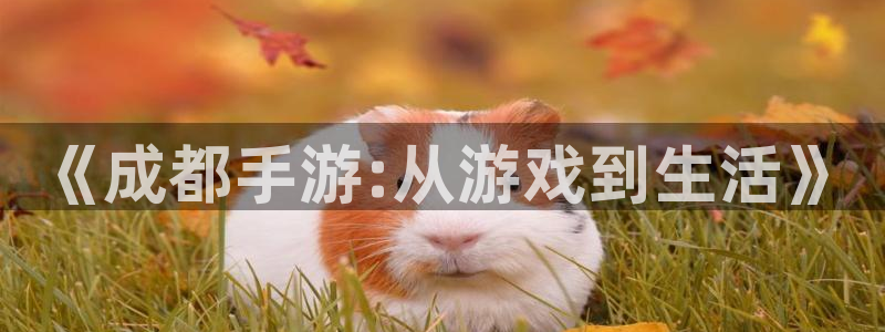 V8娱乐网：《成都手游:从游戏到生活》