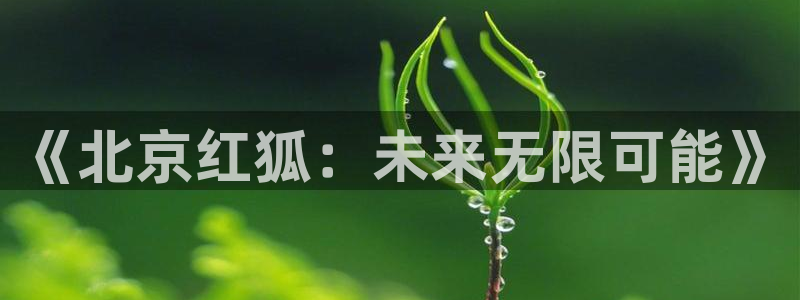 V8娱乐官网：《北京红狐：未来无限可能》