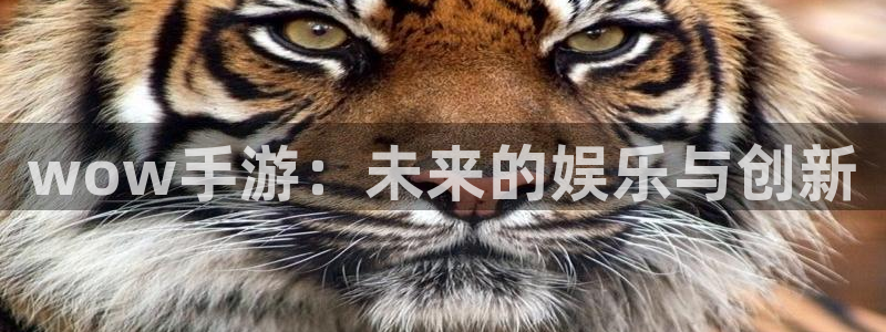 V8娱乐注册：wow手游：未来的娱乐与创新