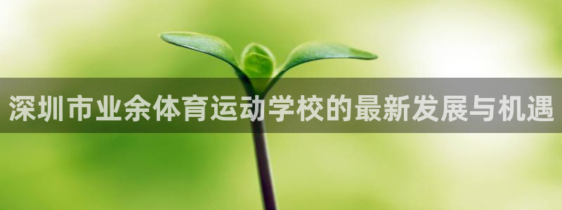 谈球吧体育官网：深圳市业余体育运动学校的最新发展与机遇