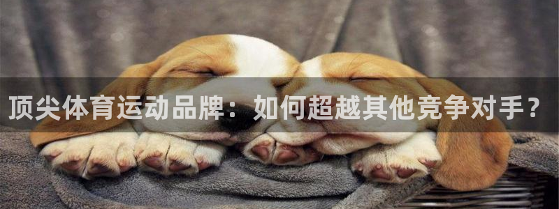 谈球吧体育：顶尖体育运动品牌：如何超越其他竞争对手？