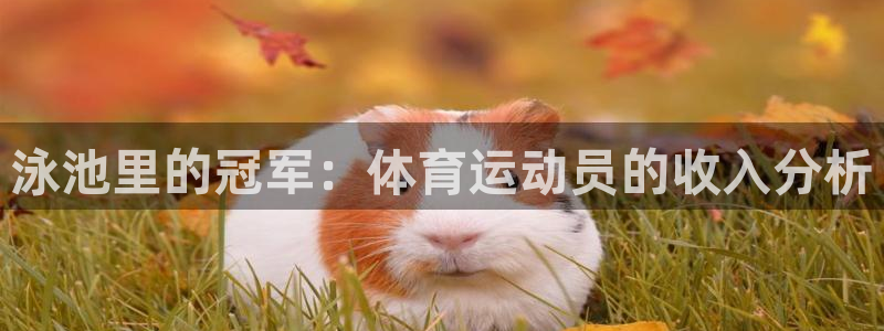 谈球吧：泳池里的冠军：体育运动员的收入分析