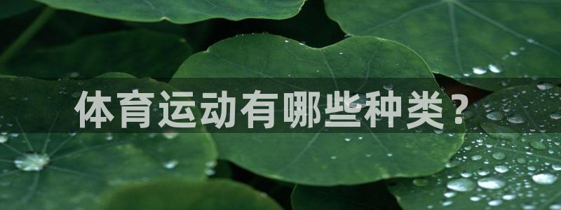谈球吧：体育运动有哪些种类？