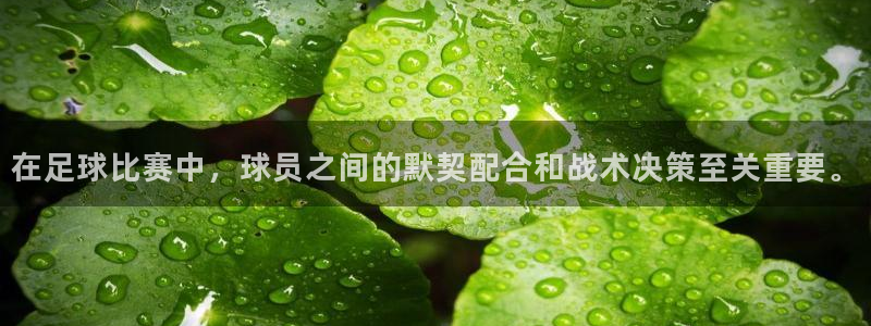 谈球吧：在足球比赛中，球员之间的默契配合和战术决策至关重要。