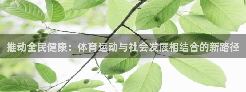 谈球吧：推动全民健康：体育运动与社会发展相结合的新路径