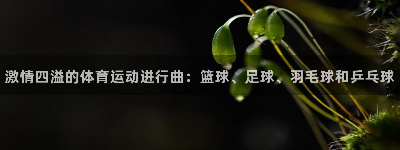 谈球吧体育官网：激情四溢的体育运动进行曲：篮球、足球、羽毛球和乒乓球